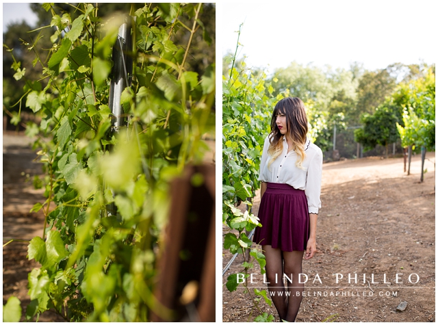 temecula vinyeard