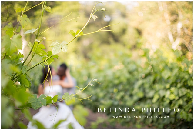 romantic moment shared by a bride and groom in temecula vinyeard