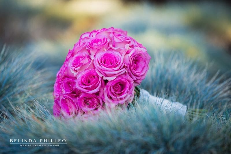 Hot pink roses bridal bouquet