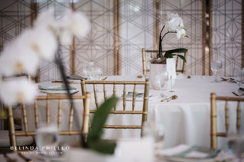 Orchid centerpieces for wedding reception