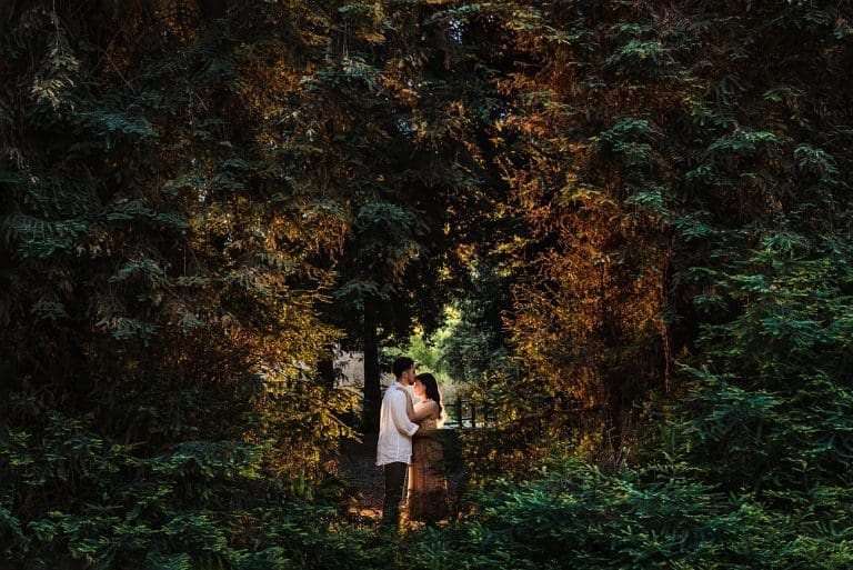 Romantic Couple’s Session in Orange County’s Secret Redwood Grove