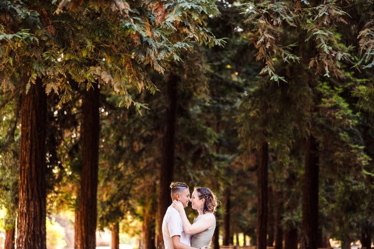 Orange County Engagement Session at a Hidden Redwood Grove